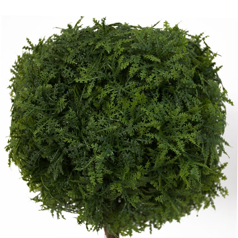 Table Topiary - Whispering Fern