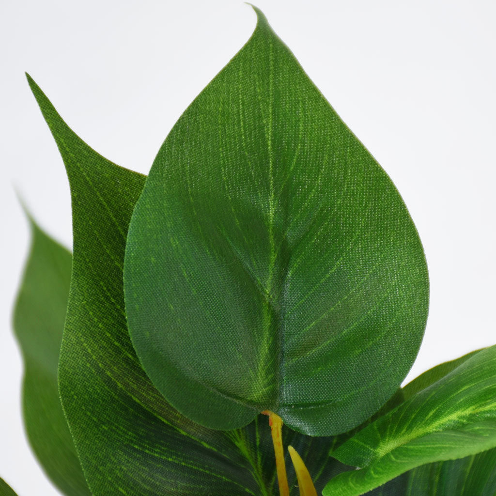 Greenery Plant - Large evergreen pothos bush