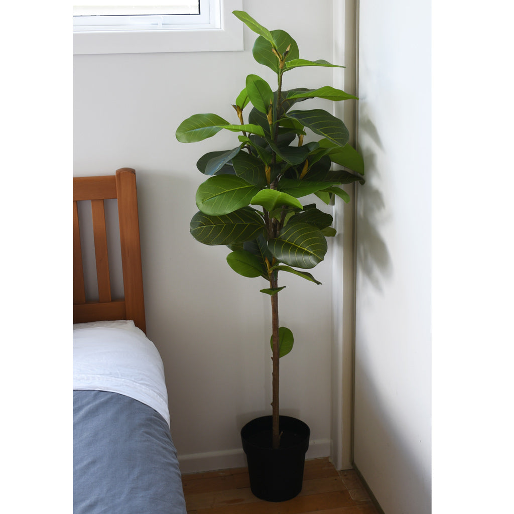 Fig Tree - Artificial - 145cm ✰✰✰ SPECIAL ✰✰✰