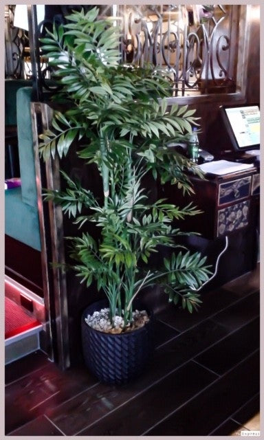Tree - Bamboo Phoenix