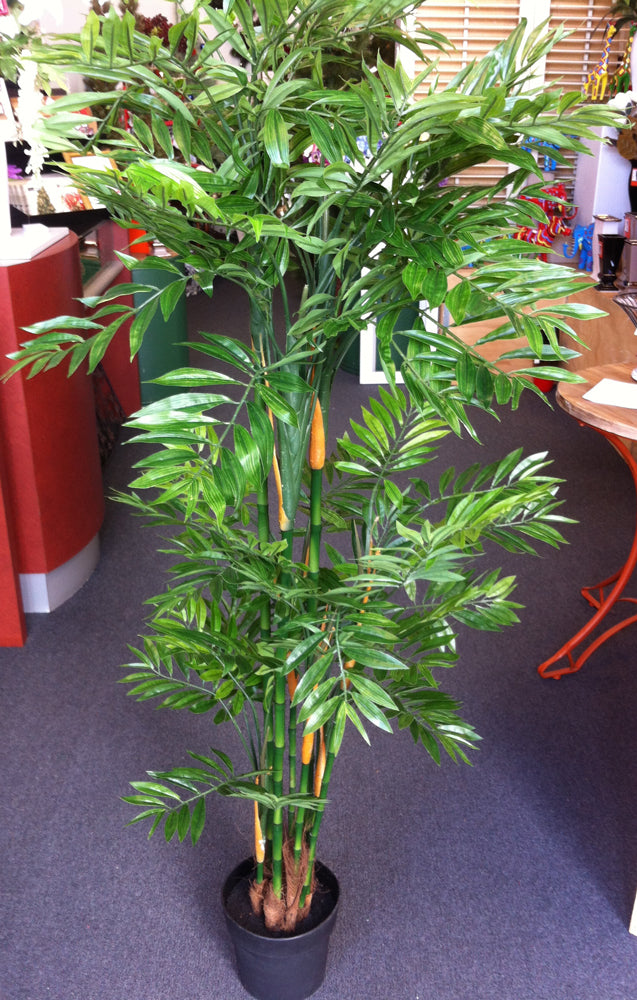 Tree - Bamboo Phoenix