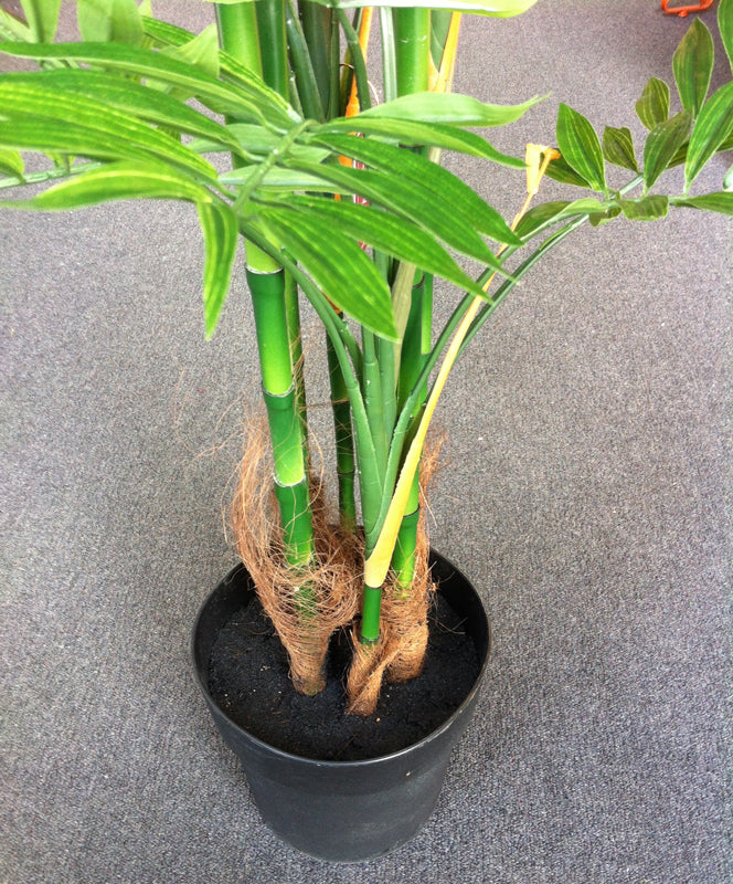 Tree - Bamboo Phoenix Close-up