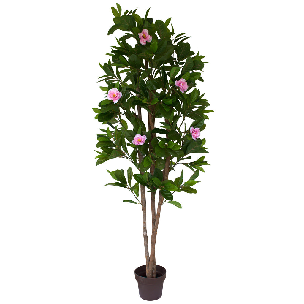 Camelia Tree - Artificial www.decorflowers.co.nz