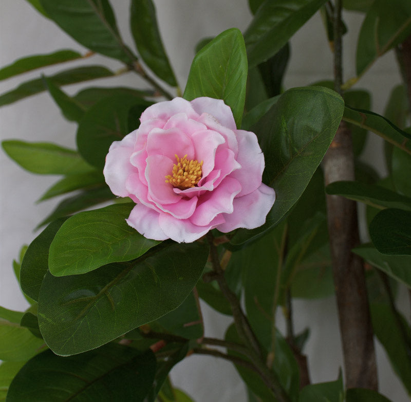 Camellia Tree with Pink Flowers - Artificial
