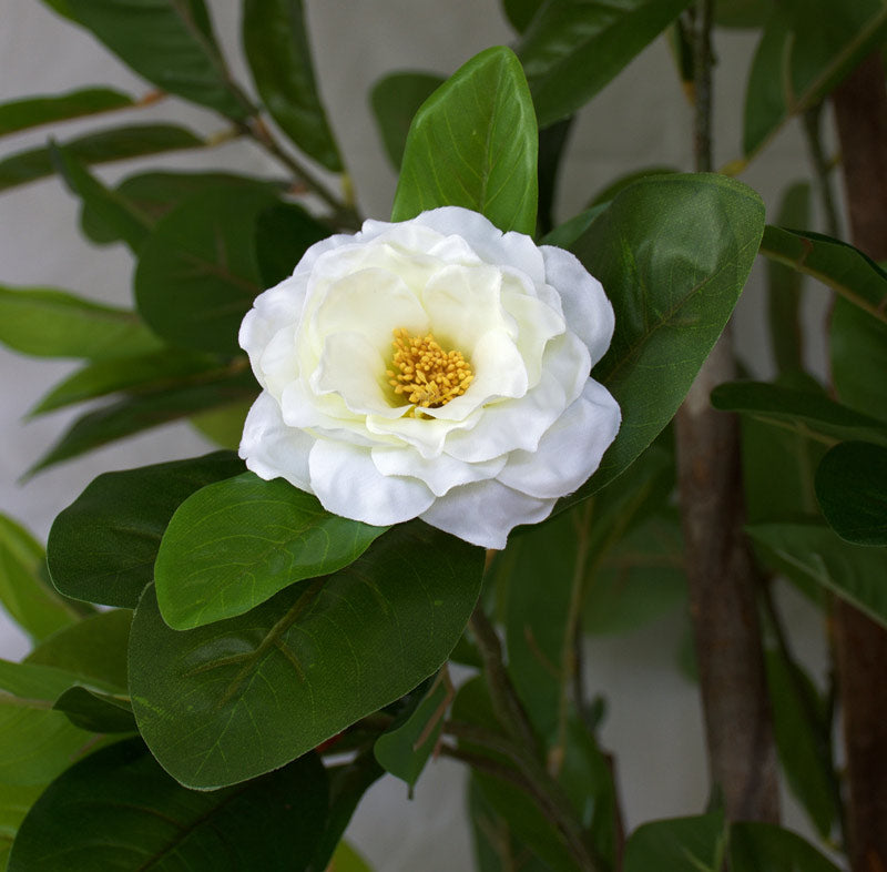 Camellia Tree with White Flowers - Artificial