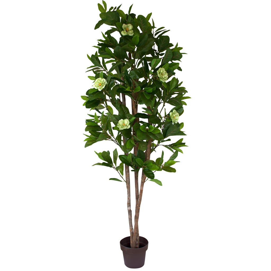 Artificial Camelia Tree www.decorflowers.co.nz