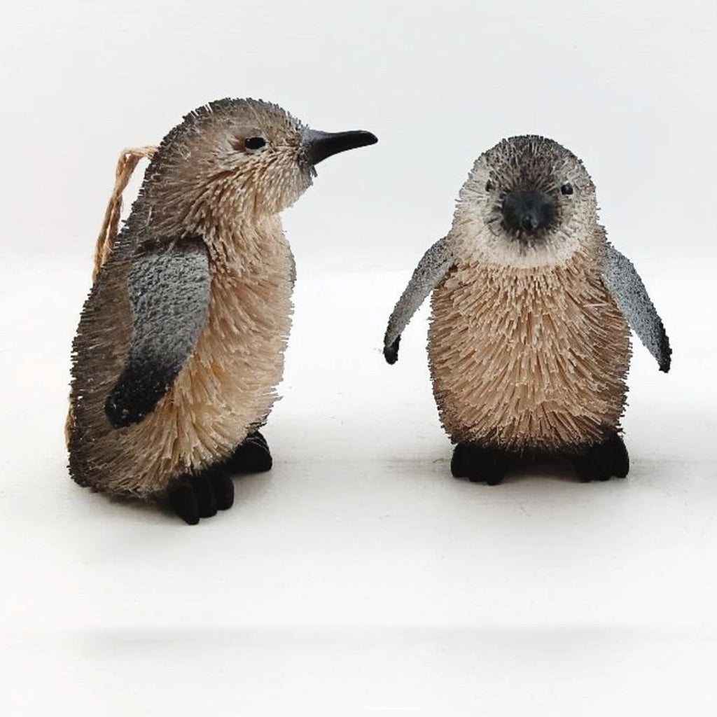 Little Blue Penguin - NEW! - DUE END SEPTEMBER 2025