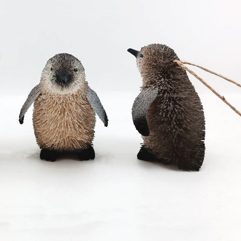 Little Blue Penguin - NEW! - DUE END SEPTEMBER 2025