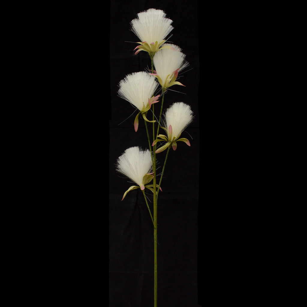 Bottle Brush Dandelion - Cream White