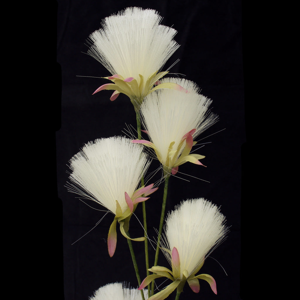 Bottle Brush Dandelion - Cream White