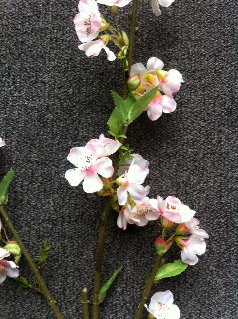 Cherry Blossom flower stem