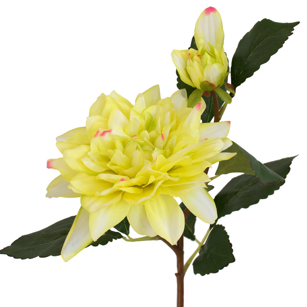 Dahlia Flower Spray - Lemon Cream ✰✰✰ SPECIAL ✰✰✰