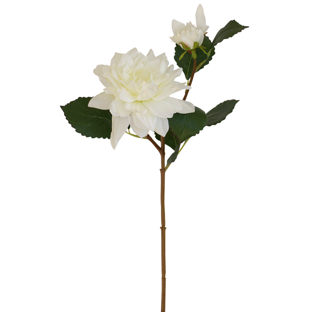 Dahlia Flower Spray - White ✰✰✰ SPECIAL ✰✰✰