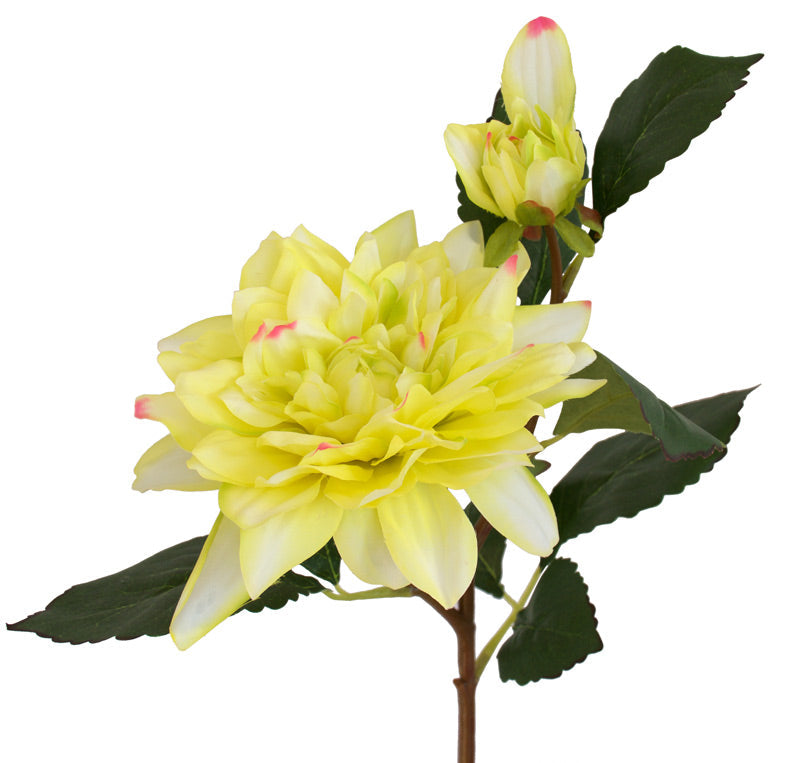 Dahlia Flower Spray - Lemon Cream ✰✰✰ SPECIAL ✰✰✰