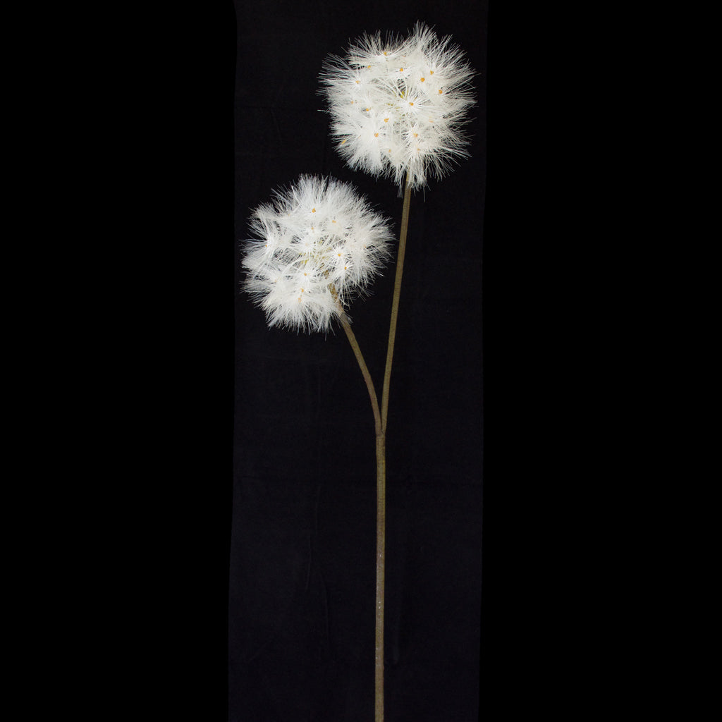 Dandelion Flower - Artificial