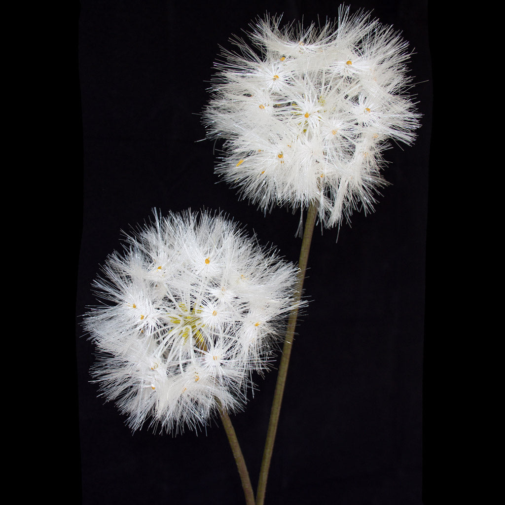 Dandelion Flower - Artificial