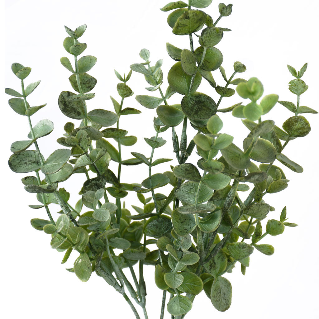 Eucalyptus Bush - Grey Green