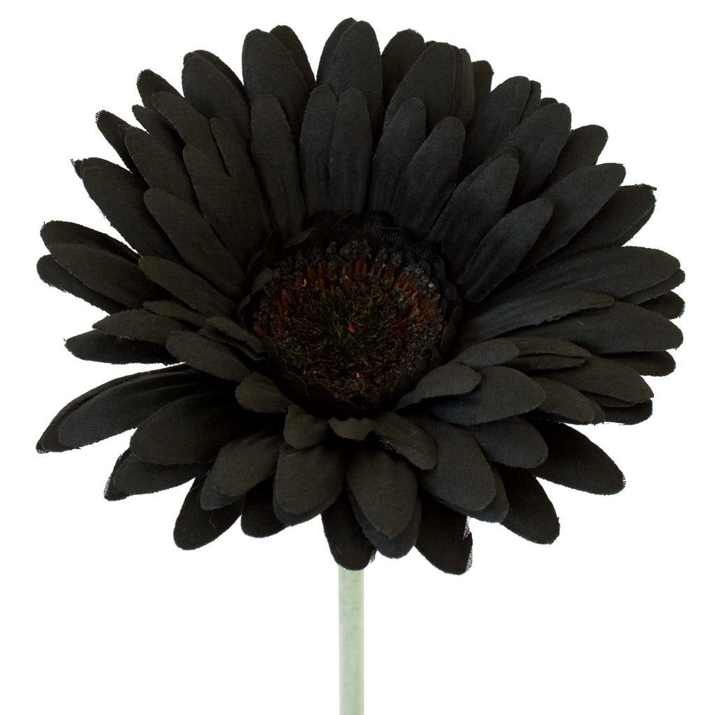 Artificial Black Gerbera