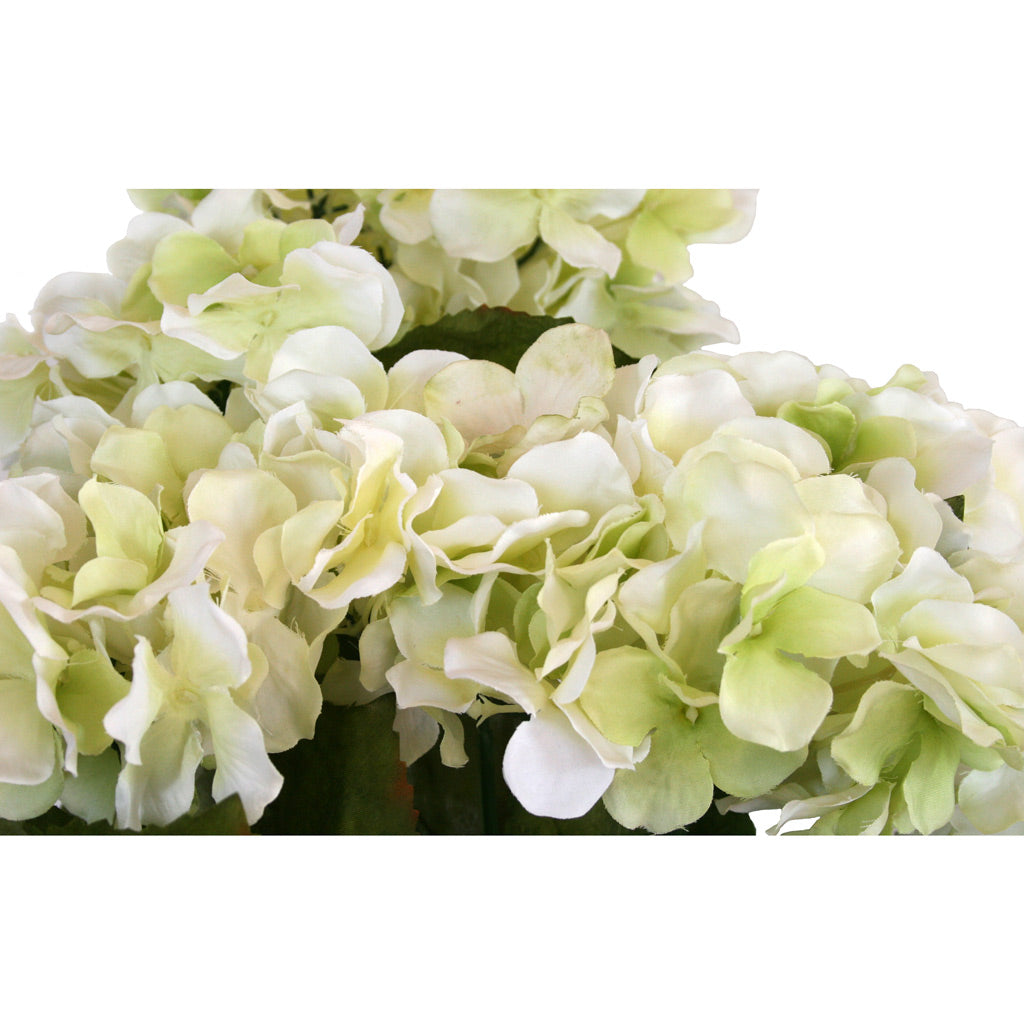 Hydrangea Bush - Cream ✰✰✰ HALF PRICE SPECIAL ✰✰✰