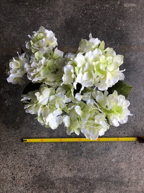 Hydrangea Bush - Cream ✰✰✰ HALF PRICE SPECIAL ✰✰✰