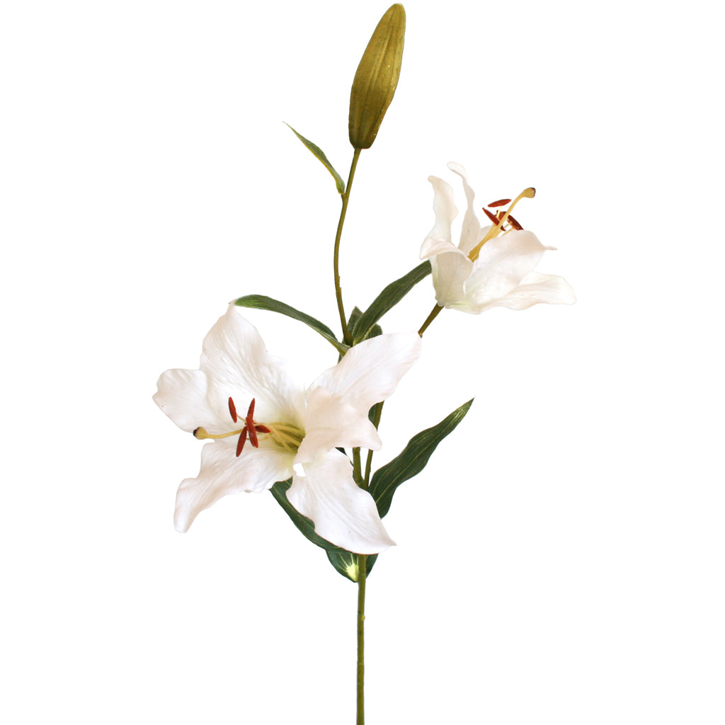 Artificial white lily flower on a white background