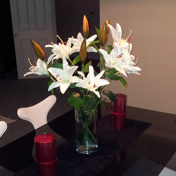 Lily - Casablanca ✰✰✰ SPECIAL ✰✰✰