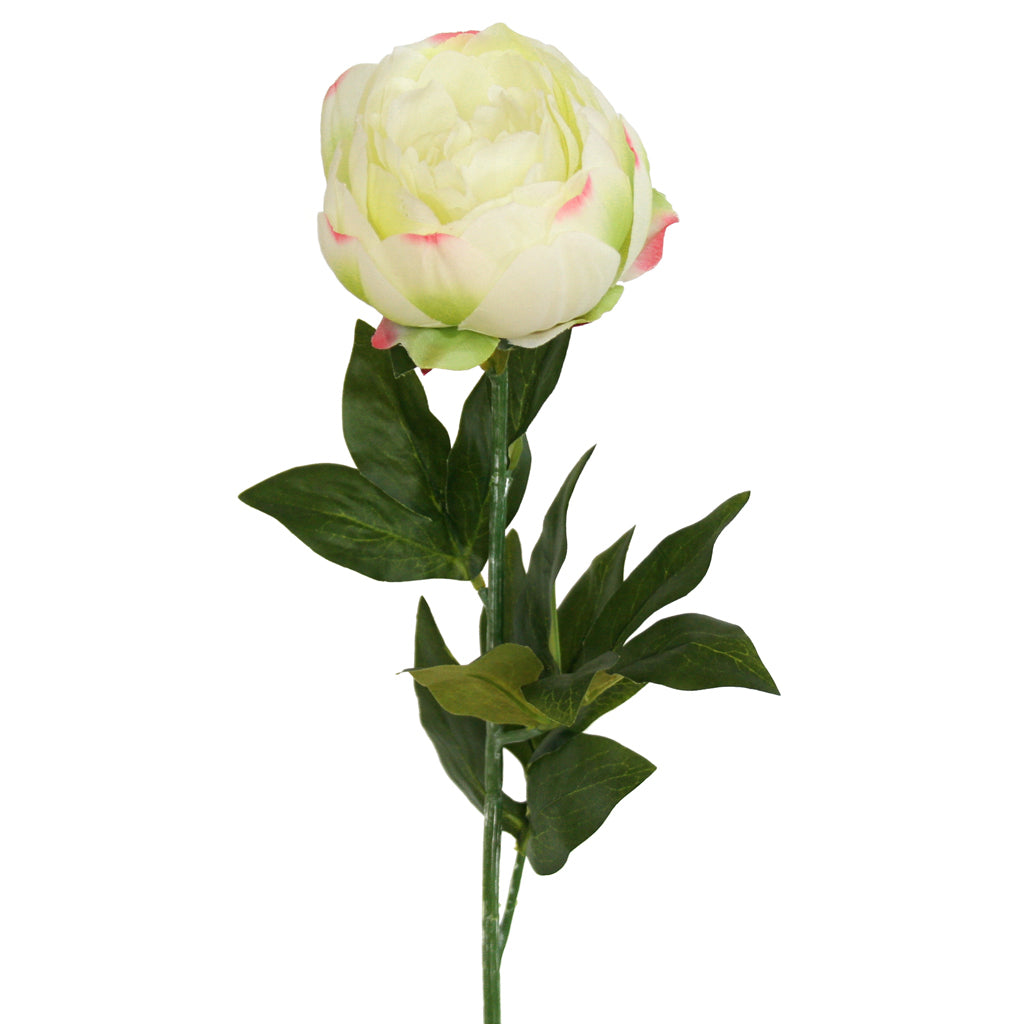 Peony Rose Petticoat - Cream