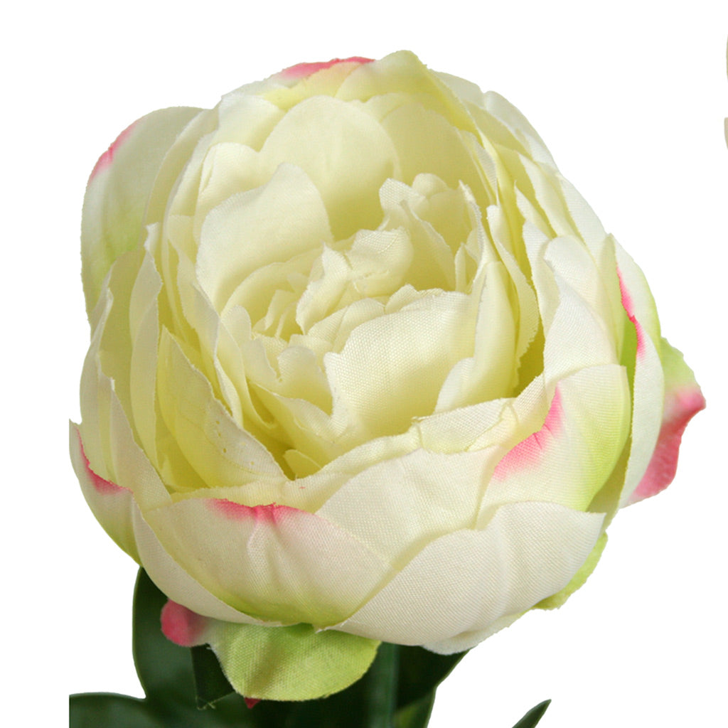 Peony Rose Petticoat - Cream