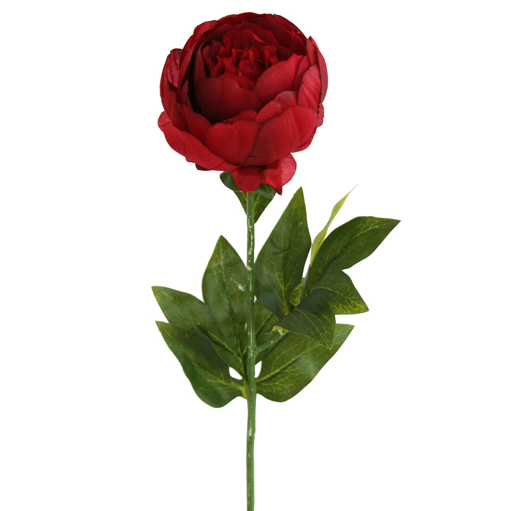 Peony Rose Petticoat - Red