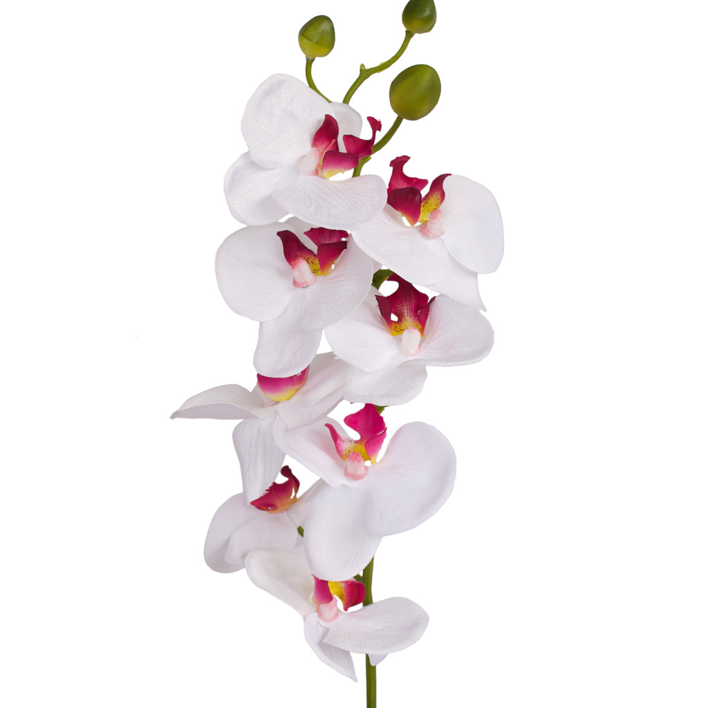 Orchid with leaves - White Pink - 60cm ✰✰✰ PRICE SLASH SPECIAL ✰✰✰