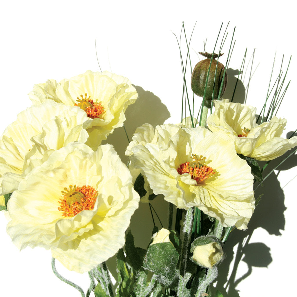 Poppy Bush with Grass - Cream