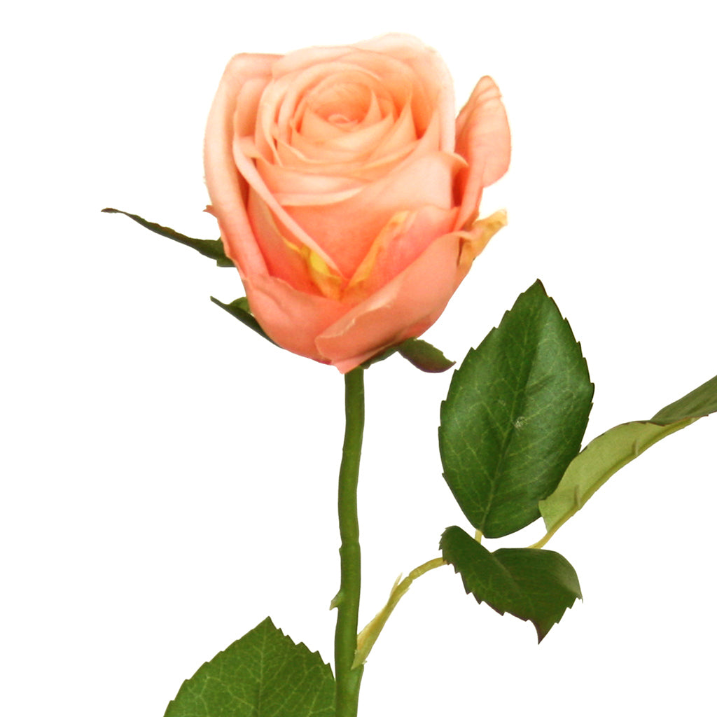 Artificial Rose - Somerset - Half Bloom