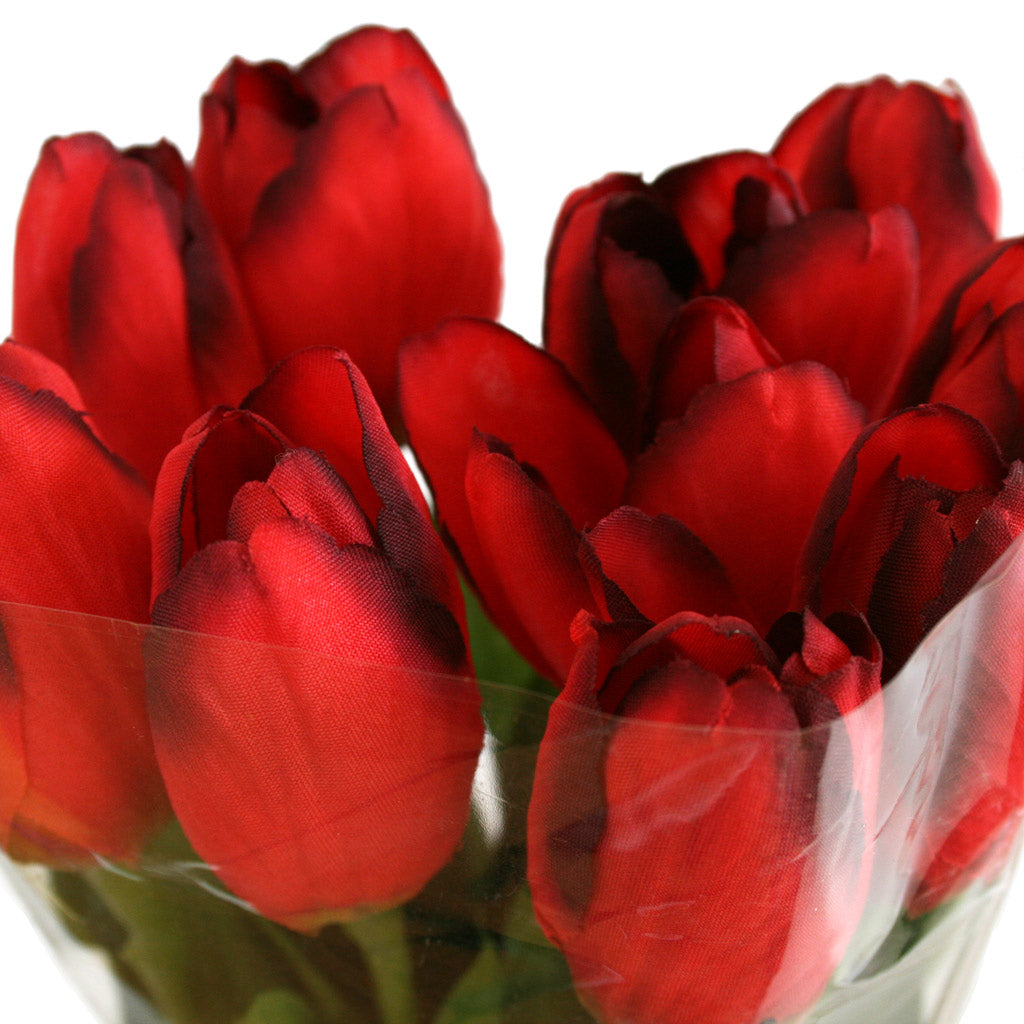 Tulip Presentation Bouquet with cello wrap - Red