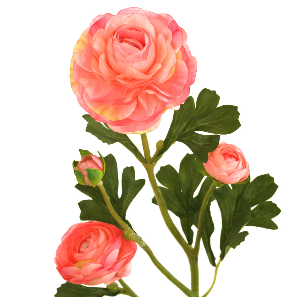 Close-up of baby-pink artificial Buttercup flower from Ogilvies NZ