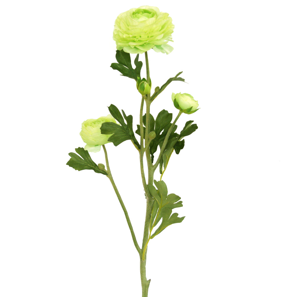 Cream artificial Buttercup flower from Ogilvies NZ
