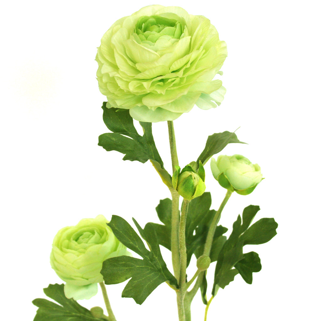 Close-up of cream artificial Buttercup flower from Ogilvies NZ