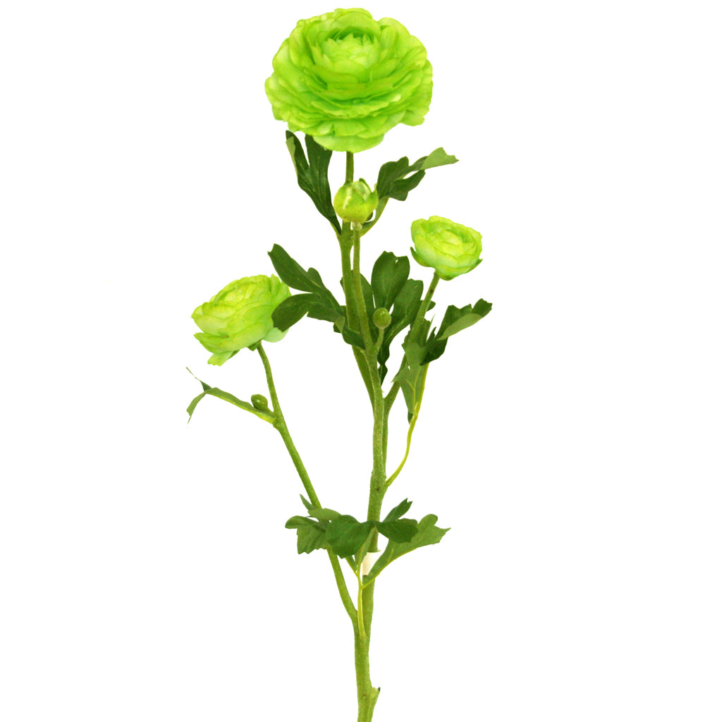 Lime-green artificial Buttercup flower from Ogilvies NZ