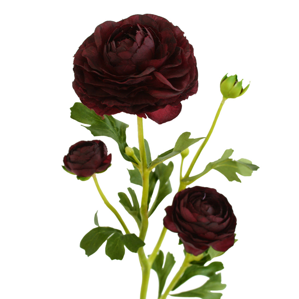 Close-up of wine artificial Buttercup flower from Ogilvies NZ