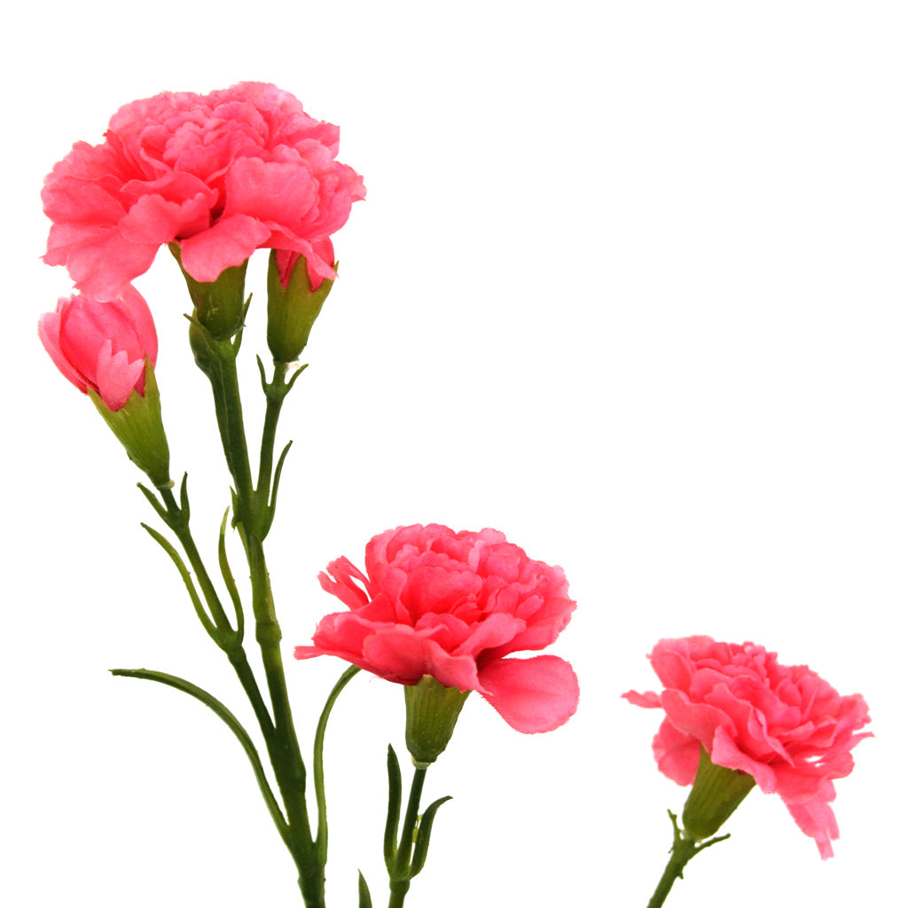 Close-up of pink artificial Carnation flower from Ogilvies NZ