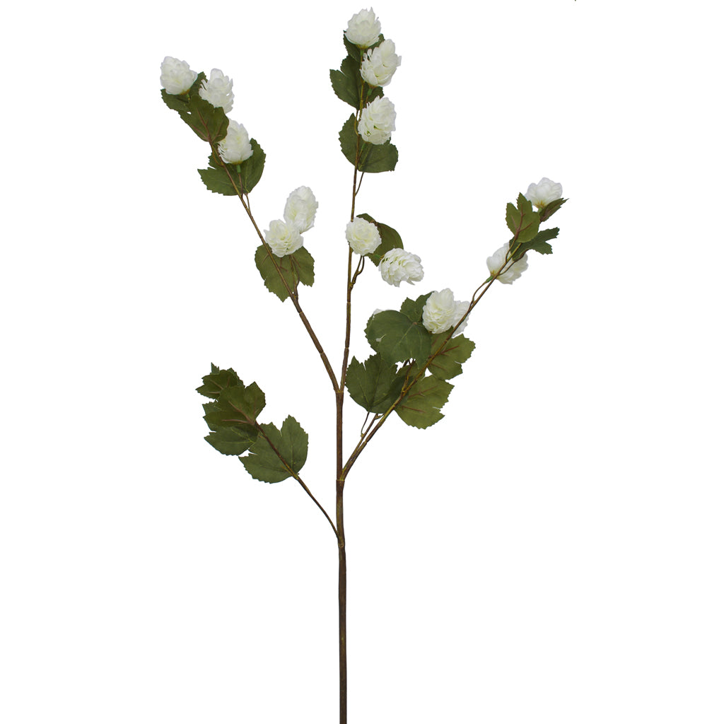 Artificial white hops spray from Ogilvies NZ