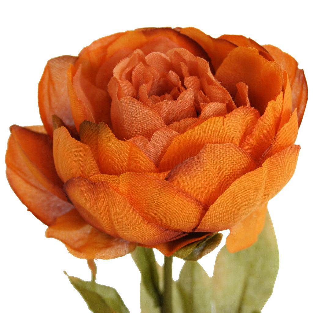 Close-up of artificial orange Peony Rose flower from Ogilvies NZ