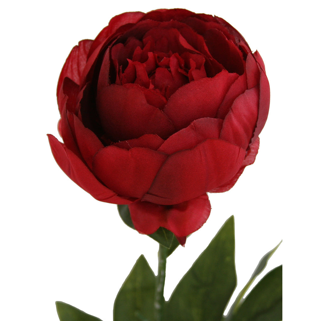 Close-up of artificial red Peony flower from Ogilvies NZ