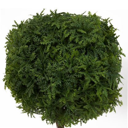 Table Topiary - Whispering Fern