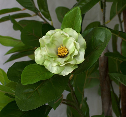 Camellia Tree with Green Flowers - Artificial