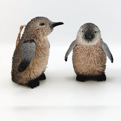 Little Blue Penguin - NEW! - DUE END SEPTEMBER 2025