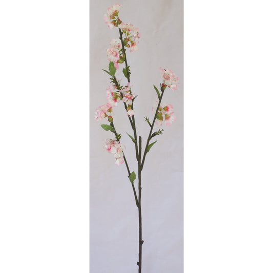 Cherry Blossom flower stem