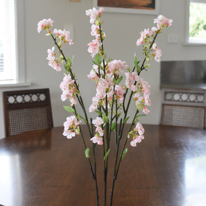 Cherry Blossom Flower Stem