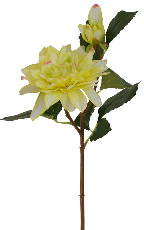Dahlia Flower Spray - Lemon Cream ✰✰✰ SPECIAL ✰✰✰