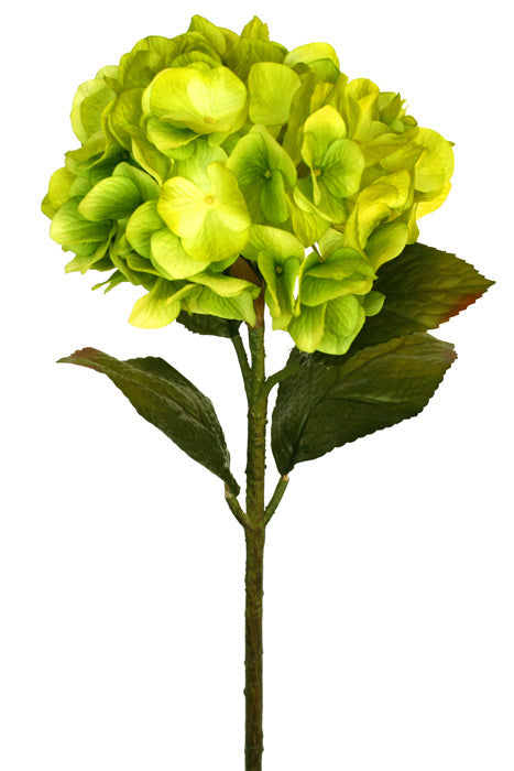 Artificial hydrangea in a spring green colour