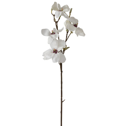 Magnolia - Traditional Southern White